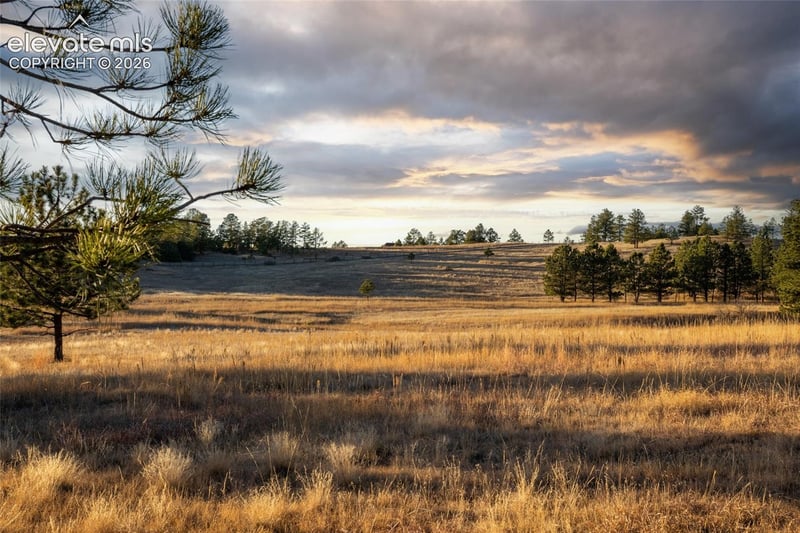 0 Woodhaven Ridge Rd, Parker, CO 80134