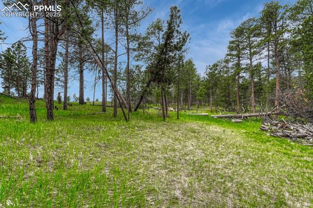 01 Wyandott Dr, Colorado Springs, CO 80908
