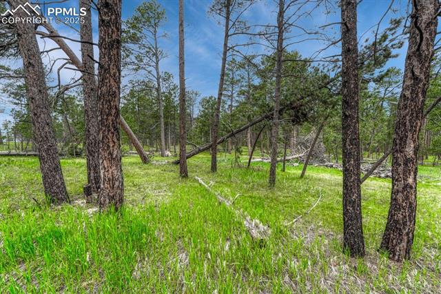 01 Wyandott Dr, Colorado Springs, CO 80908