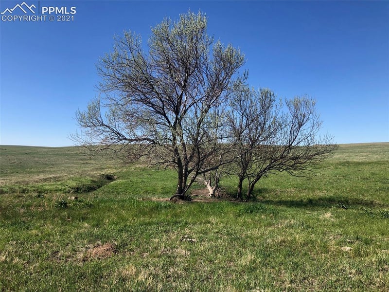 03 Mikita Rd, Calhan, CO 80831