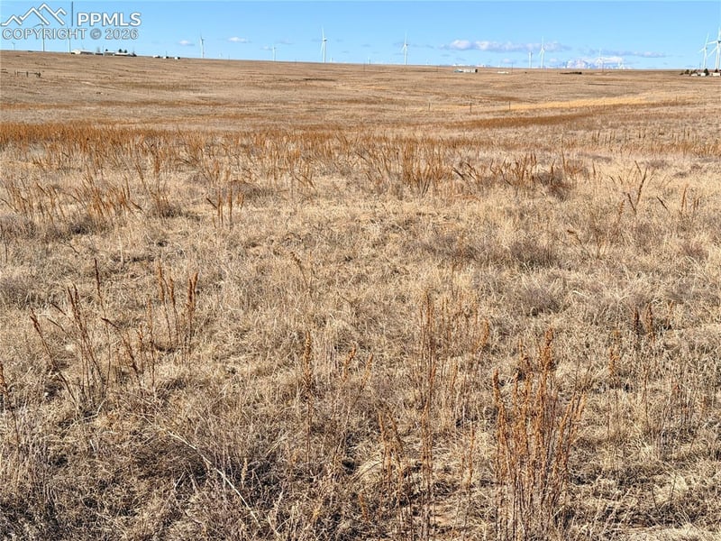 1 Mulberry Rd, Calhan, CO 80808