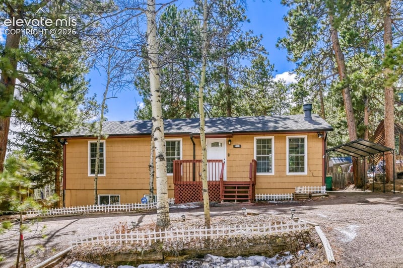 1005 W Browning Ave, Woodland Park, CO 80863