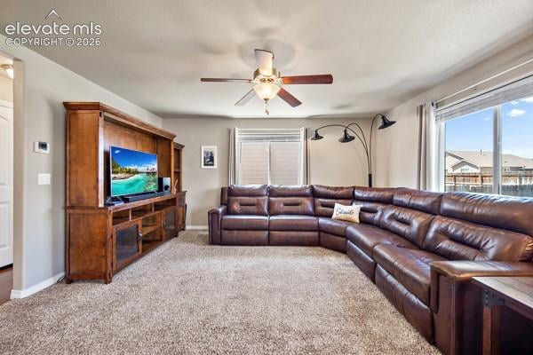 10061 Thunderbolt Trl, Colorado Springs, CO 80925