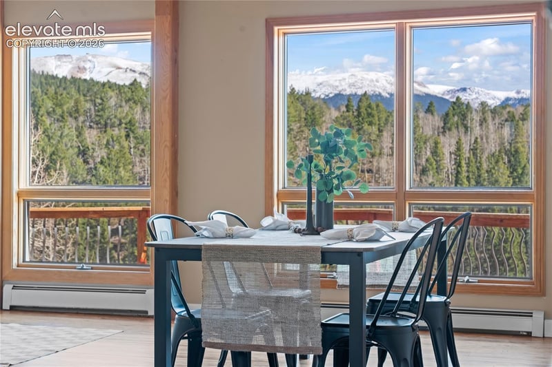 1008 Cantiberry Rd, Divide, CO 80814
