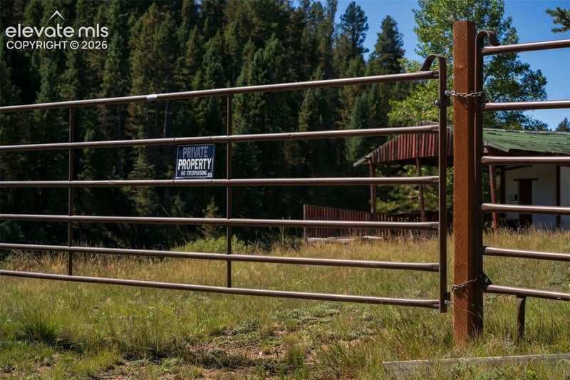 101 Navajo Cir, Divide, CO 80814