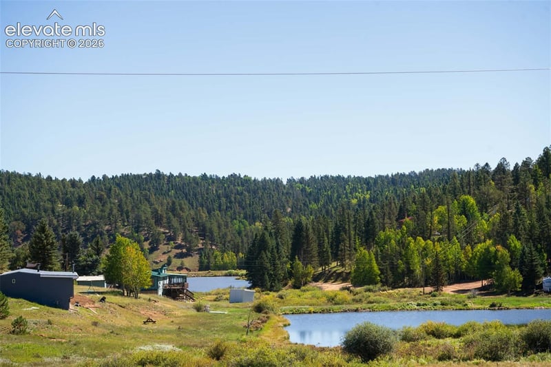 101 Navajo Cir, Divide, CO 80814