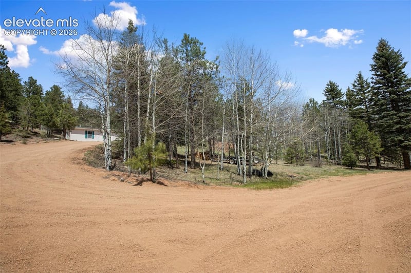 1011 W Bison Creek Trl, Divide, CO 80814