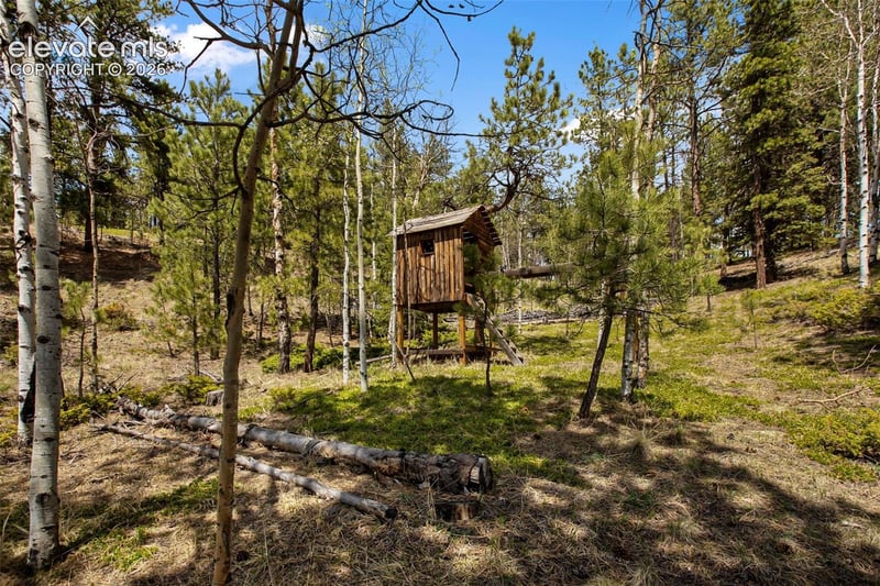 1011 W Bison Creek Trl, Divide, CO 80814