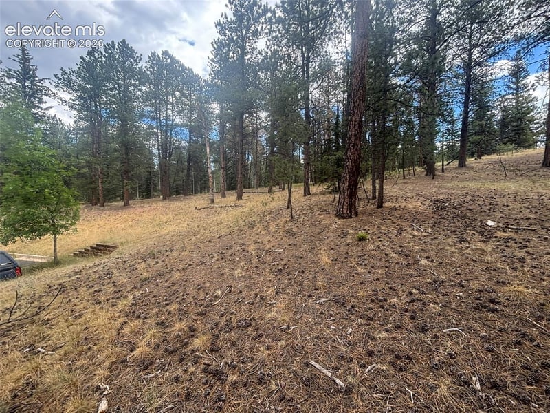 1020 Tamarac Pw, Woodland Park, CO 80863