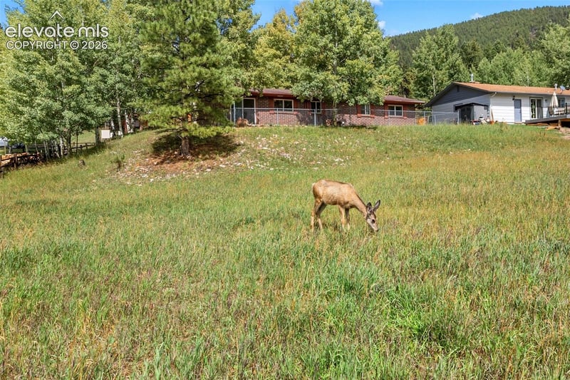 1035 Park View Rd, Woodland Park, CO 80863