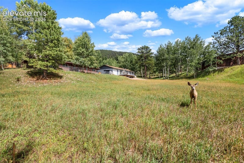 1035 Park View Rd, Woodland Park, CO 80863