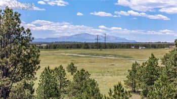 10542 Alamar Way, Colorado Springs, CO 80908