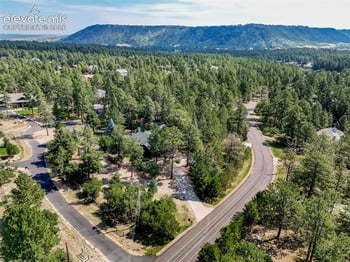 1087 Tenderfoot Dr, Larkspur, CO 80118