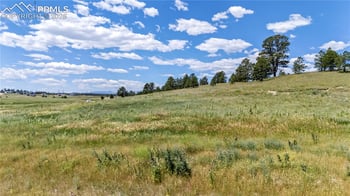 10958 Alamar Way, Colorado Springs, CO 80908