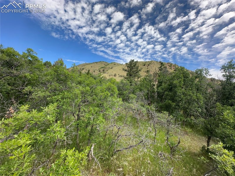 110 Crystal Park Rd, Manitou Springs, CO 80829