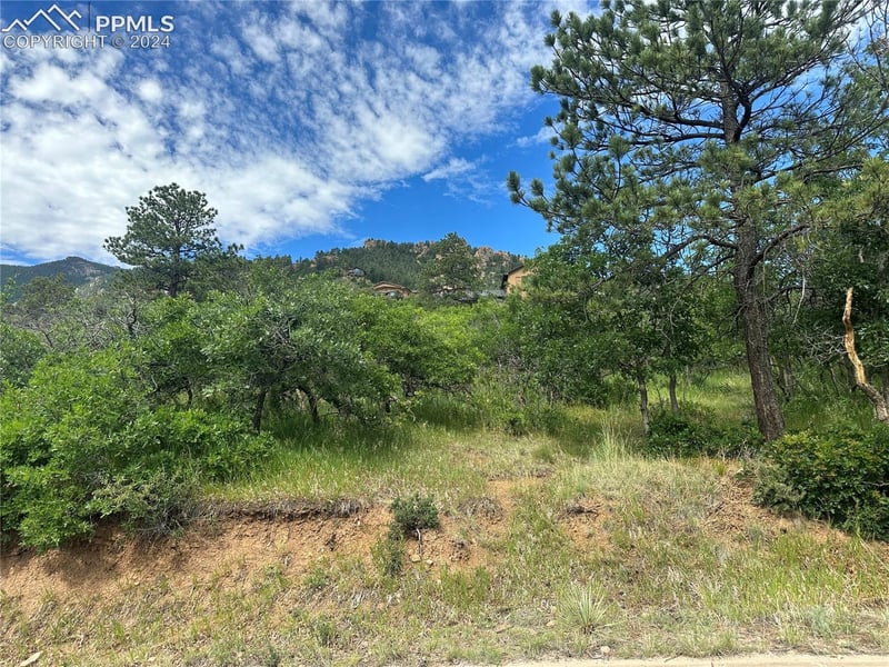 110 Crystal Park Rd, Manitou Springs, CO 80829