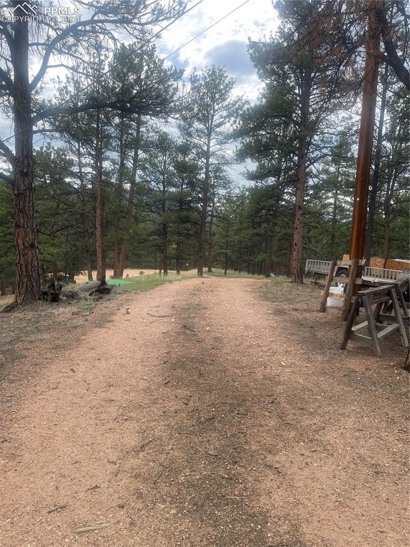 110 Wallace Dr, Florissant, CO 80816
