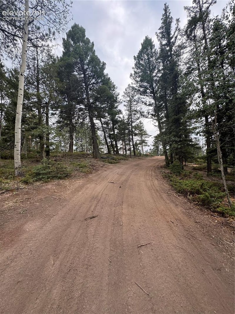 111 Elk Creek Dr, Divide, CO 80814