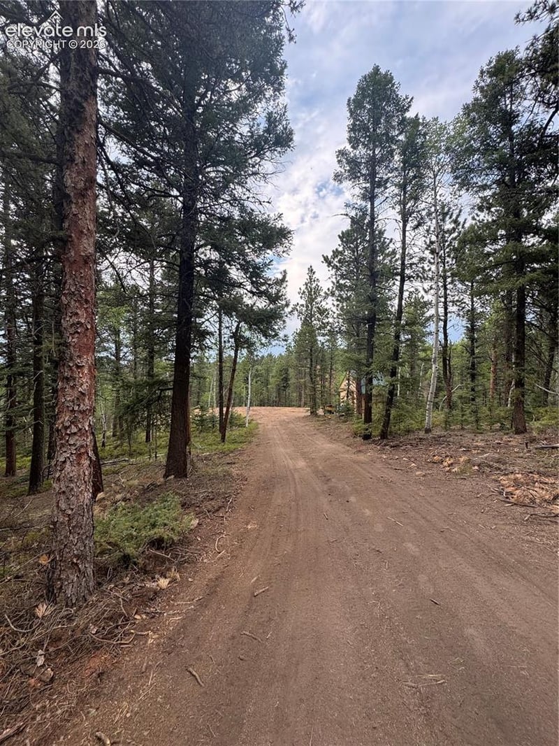 111 Elk Creek Dr, Divide, CO 80814