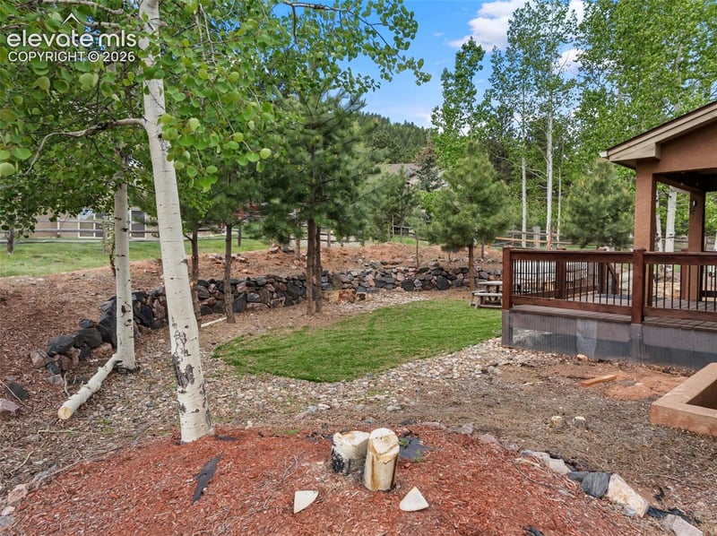 1121 W Bowman Ave, Woodland Park, CO 80863