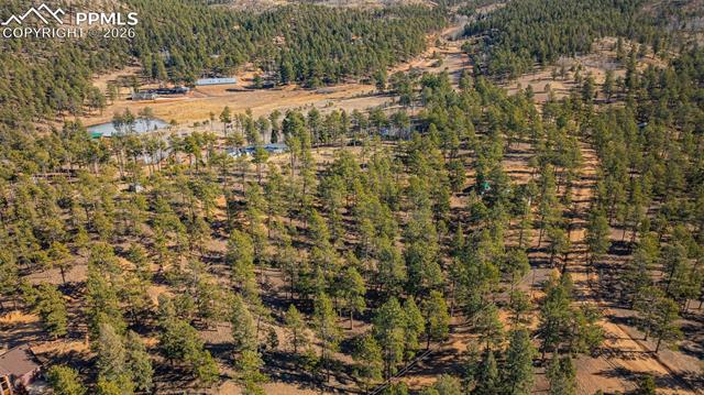 113 Schmittel Dr, Sedalia, CO 80135