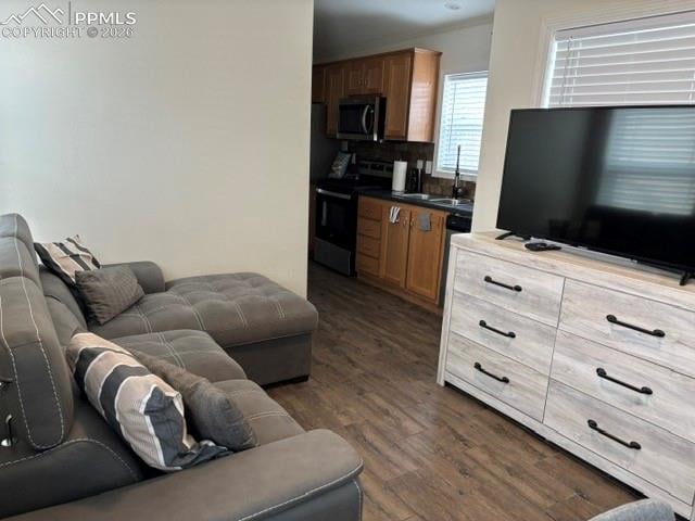 1141 Calm Mountain Point, Woodland Park, CO 80863