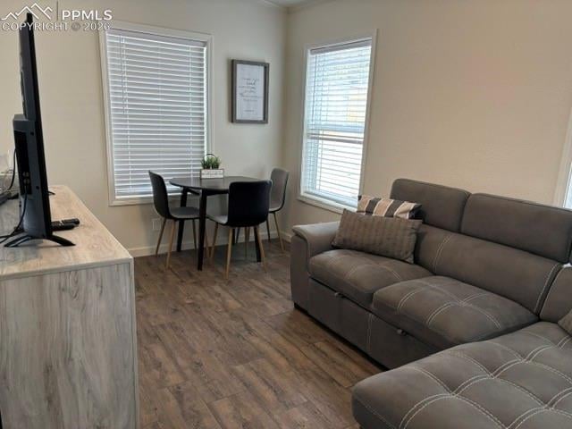 1141 Calm Mountain Point, Woodland Park, CO 80863