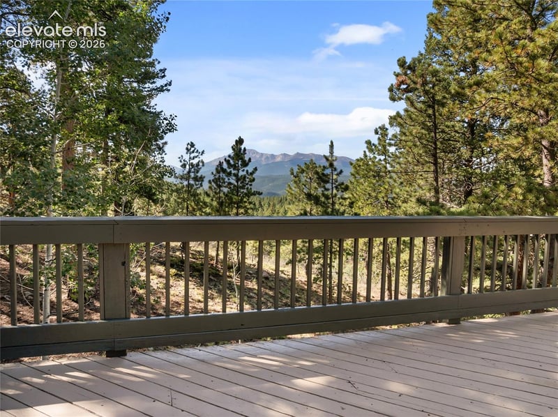1150 Forest Hill Pl, Woodland Park, CO 80863