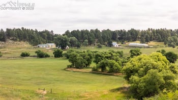 11503 E Smith Rd, Elbert, CO 80106