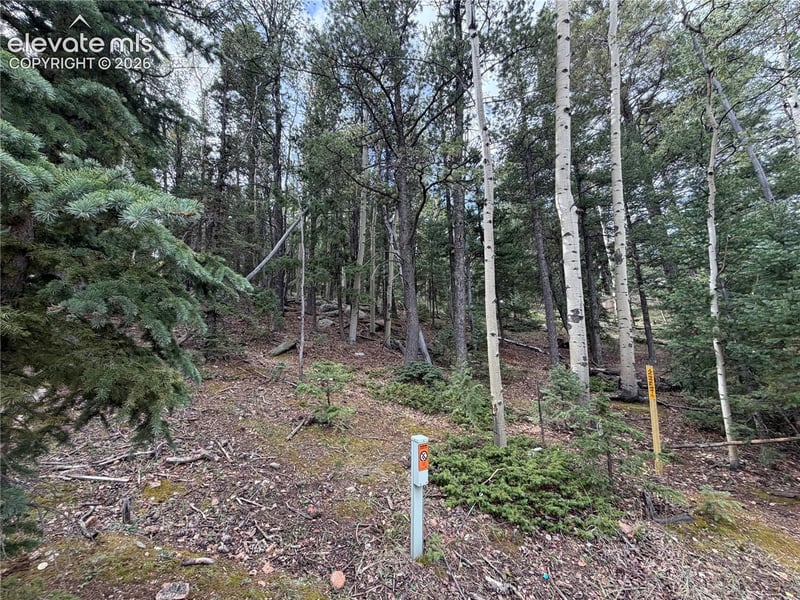 118 Will Stutley Dr, Divide, CO 80814