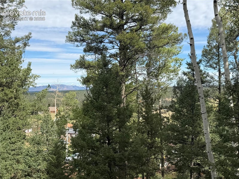 118 Will Stutley Dr, Divide, CO 80814