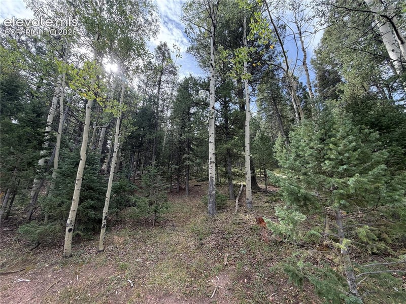 118 Will Stutley Dr, Divide, CO 80814