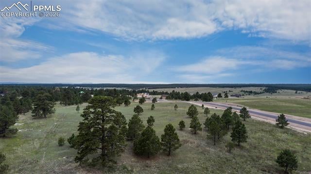 11809 Flap Jack Ln, Colorado Springs, CO 80908