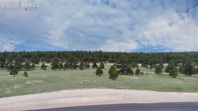 11809 Flap Jack Ln, Colorado Springs, CO 80908