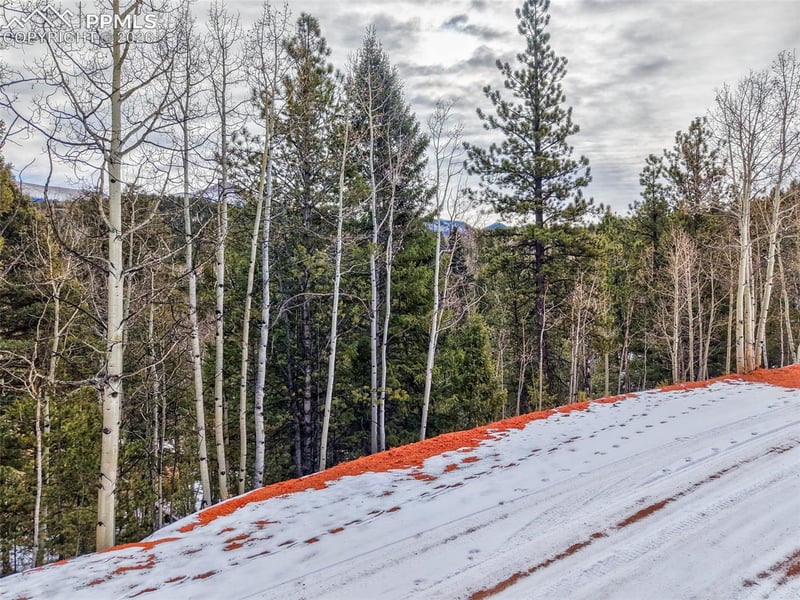 1181 Calcite Dr, Divide, CO 80814