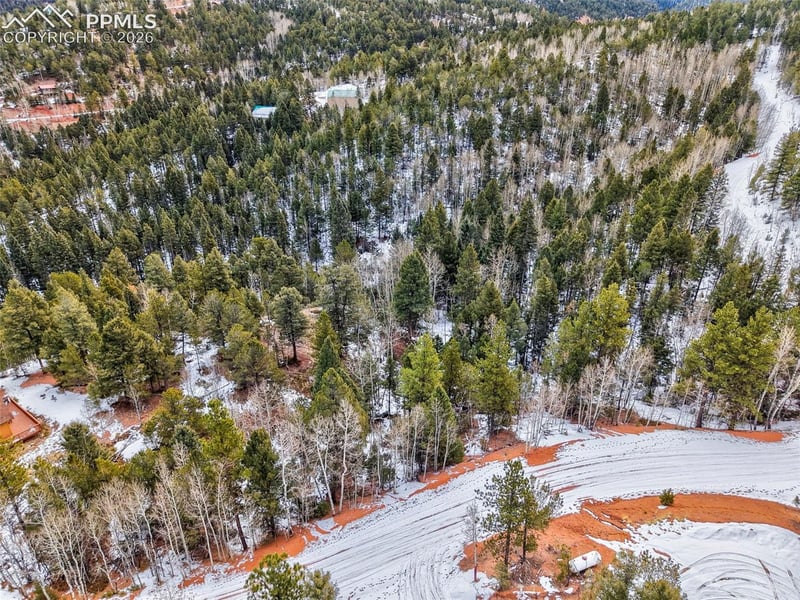 1181 Calcite Dr, Divide, CO 80814