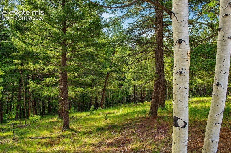 123 Ellis Lake Cir, Divide, CO 80814