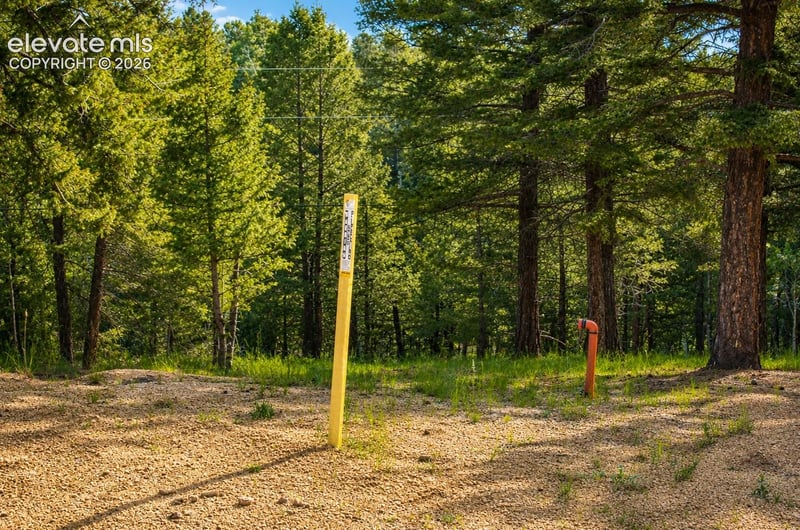123 Ellis Lake Cir, Divide, CO 80814