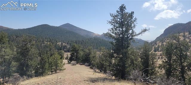 129 Portland Dr, Cripple Creek, CO 80813