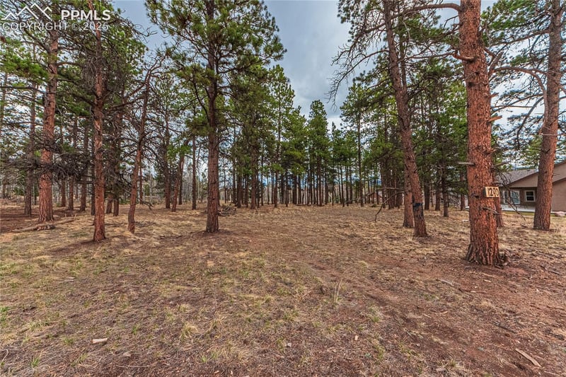 1290 Firestone Dr, Woodland Park, CO 80863