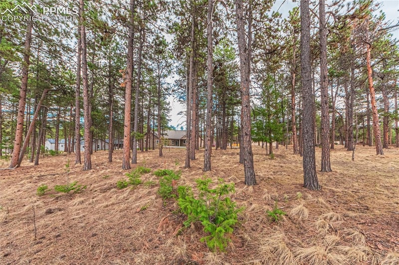 1290 Firestone Dr, Woodland Park, CO 80863