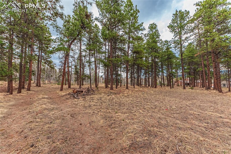 1290 Firestone Dr, Woodland Park, CO 80863