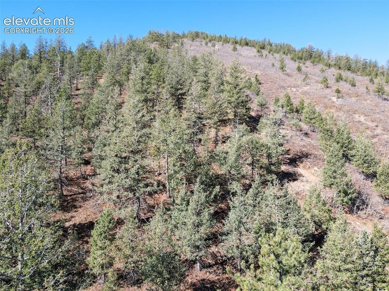 1296 Mica Ln, Colorado Springs, CO 80906