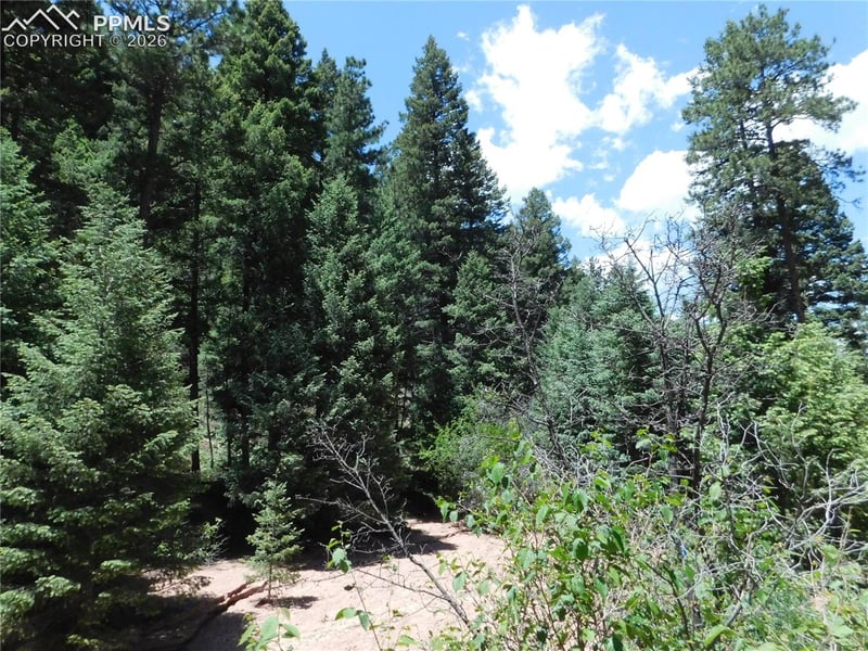 13175 Spruce Creek Cir, Larkspur, CO 80118