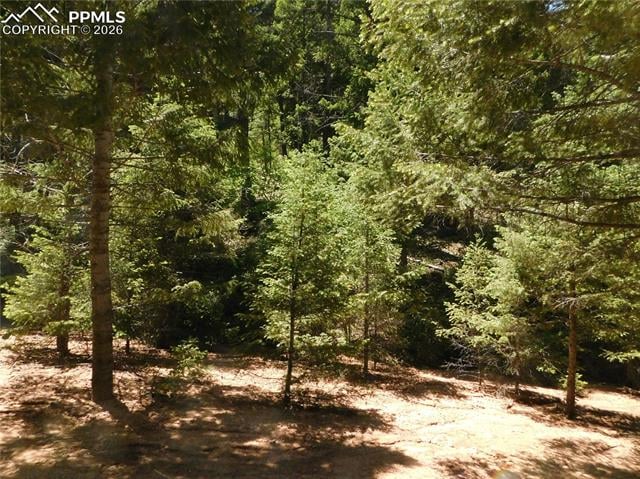 13175 Spruce Creek Cir, Larkspur, CO 80118