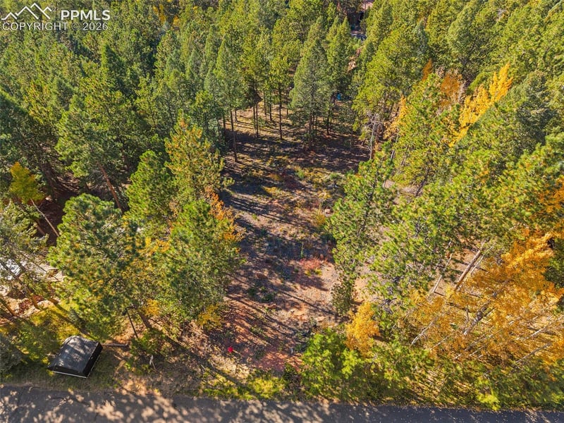 1320 Forest Edge Rd, Woodland Park, CO 80863