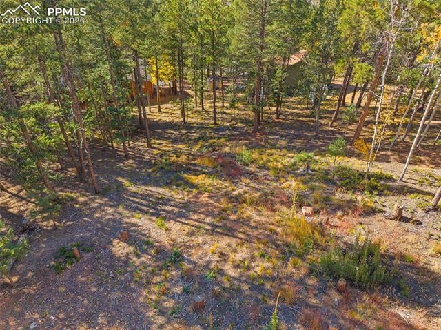 1320 Forest Edge Rd, Woodland Park, CO 80863