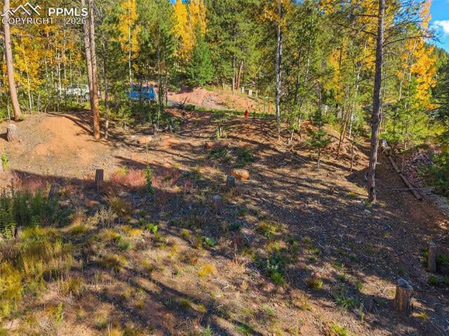 1320 Forest Edge Rd, Woodland Park, CO 80863