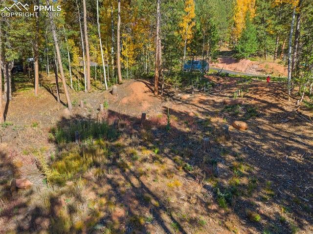 1320 Forest Edge Rd, Woodland Park, CO 80863