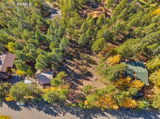 1320 Forest Edge Rd, Woodland Park, CO 80863